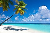 Caribbean Beach Pictures Wallpaper (70+ images)