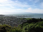 Best Things to Do in Nelson, New Zealand