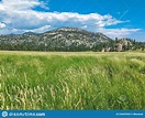 Vistas Naturales a Una Gran Vegetación Y Montaña En Evergreen Colorado ...