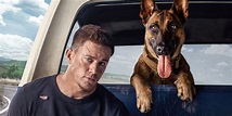 Dog Movie Review: Channing Tatum With a Dog Is as Charming as You’d Think