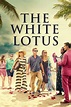 The White Lotus (TV Series 2021- ) - Posters — The Movie Database (TMDB)