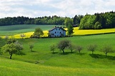 绿草茵茵的春天农村田园风景 - 免费可商用图片 - CC0素材网