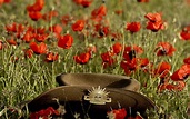 LEST WE FORGET | Anzac day, Remembrance day, Lest we forget anzac