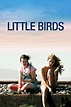 Repelis [HD-720p] Little Birds en Español Latino Gratis