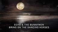 Bring on the Dancing Horses (Transformed) (Official Audio) - YouTube