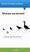 APP of the Day: Merlin Bird ID by Cornell Lab of Ornithology — 5 things ...