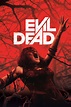 Evil Dead (2013) - Posters — The Movie Database (TMDB)