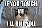 If you touch me - I'll kill you - Memes