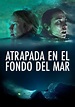 Atrapada en las profundidades - película: Ver online