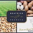 Beatrice Peanuts Com. de Importação e Exportação de Amendoim LTDA ...