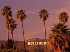 Hollywood City Wallpaper