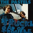 The Pastels - Truckload Of Trouble (1993)