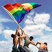 Bandeira Lgbt Orgulho Gay Arco Íris Lésbica Colorida - R$ 39,90 em ...