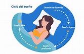 Calculadora de sueño ¿Cuántas horas debo dormir?