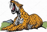 Tigre dientes de sable - animal prehistórico Vector de stock por ...