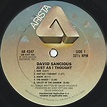 David Sancious / Just As I Thought(LP) / Arista 1979 USオリジナル盤 VG+/VG+ ...