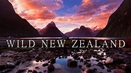 How to watch Wild New Zealand - UKTV Play