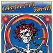 Grateful Dead - Grateful Dead (Skull & Roses) (50th Anniversary ...
