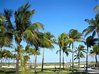 Lummus Park Beach (Miami Beach) - All You Need to Know BEFORE You Go