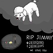 RIP Jimmy by StrixVanAllen on DeviantArt