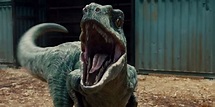 Here's how the 'Jurassic World' dinosaurs looked in real life ...