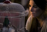 Las 5 mejores películas de Sandra Bullock en Netflix | El Diario NY