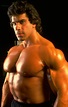 Actor/Bodybuilder Lou Ferrigno Talks About Getting Fired From Celebrity ...