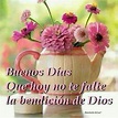 Imagen De Buenos Dias Y Bendiciones - dailymigrants.com