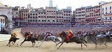 The Palio Celebrations | Siena, Horse racing, Horses