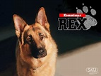 Kommissar Rex | Bild 5 von 6 | moviepilot.de