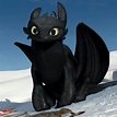 Pin de Ayelen S en chimuelo | Entrenando a tu dragon, Cómo entrenar a ...