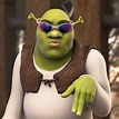 Shrek Meme - IdleMeme
