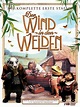 Der Wind in den Weiden - Staffel 1: DVD oder Blu-ray leihen ...
