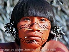 Yanomami Indians: The Fierce People?