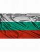 Bandera de la República de Bulgaria Actual en Raso de Alta Calidad