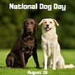 National Dog Day is August 26 | Orthodontic Blog | myorthodontists.info