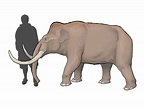 Mammuthus exilis by WSnyder on DeviantArt | Prehistoric animals ...