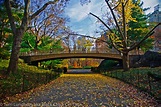 Central Park, New York: One of the World's Most Famous Urban Parks ...