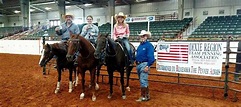 Home About BCH Production Shows Calendar Contact Horses For Sale Photos ...
