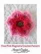 Pink Magnolia - Free Crochet Pattern | Crochet flowers, Crochet flowers ...