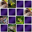 Great memory game for seniors - tropical animals - Online and free game!