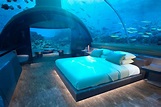 Underwater hotel villa in Maldives yours for $50,000 a night - Curbed
