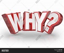 Word Why Red 3D Image & Photo (Free Trial) | Bigstock