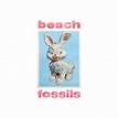 Beach Fossils - Bunny (2023) Hi-Res » HD music. Music lovers paradise ...