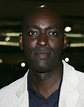 'The Shield' Actor Michael Jace Arrested After Telling Police 'I Shot ...