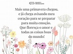 Mais uma primavera de muita emoção - Mundo das Mensagens