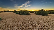 Consejos para ayudar en la lucha contra la sequía