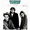 Hothouse Flowers - I'm Sorry (7"si NL 1988) - Het Plaathuis