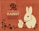 Year of the Rabbit ~ 2011 | Year of the rabbit, Chinese zodiac rabbit ...