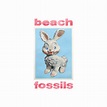 Album Review: Beach Fossils - Bunny – New Noise Magazine
